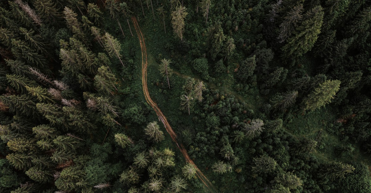 Land Purchase Due Diligence Checklist Orbis