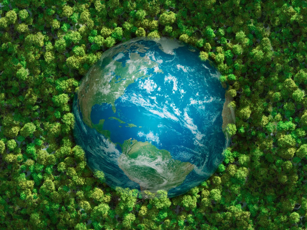 Earth embedded in green forest